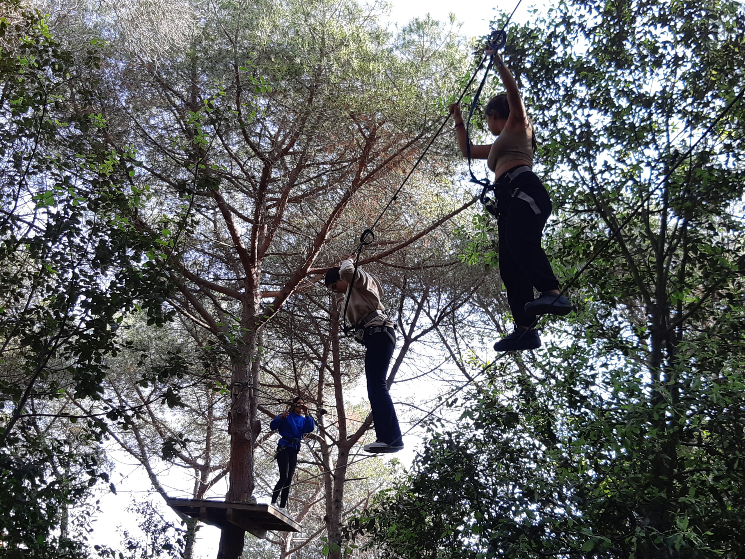 BOSC VERTICAL MATARÓ. 1R BATX