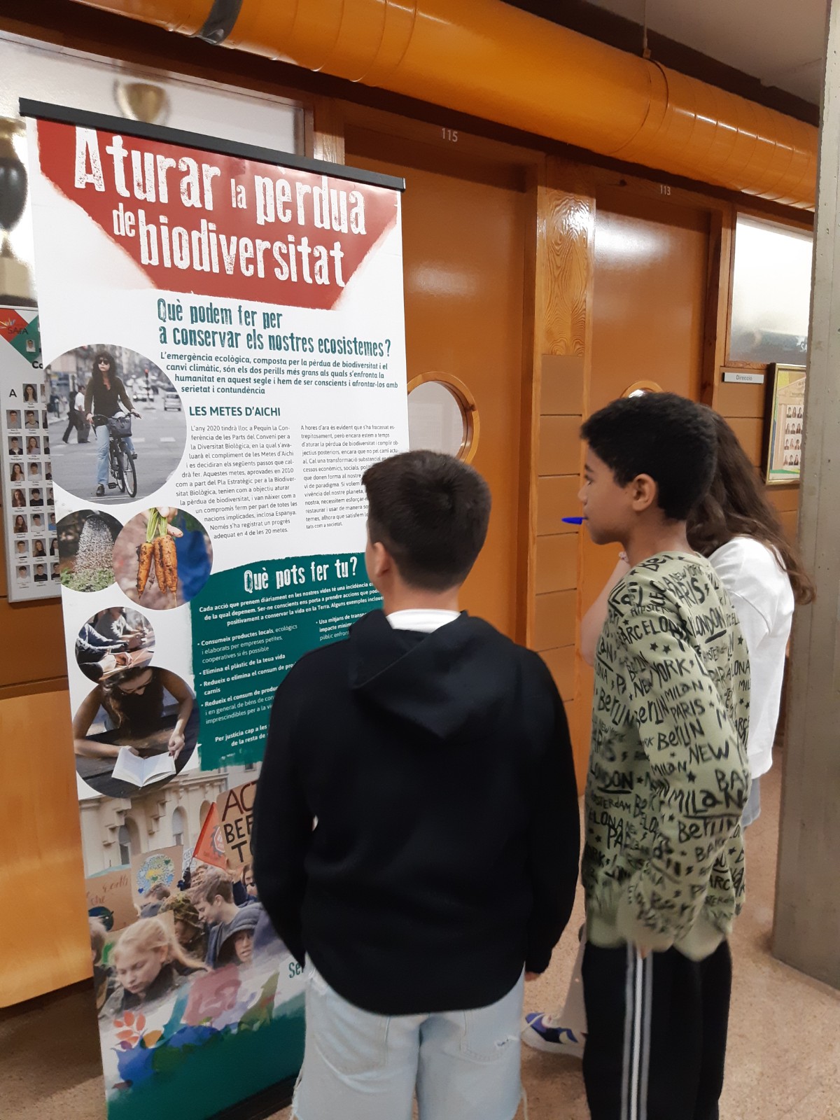 EXPOSICIÓN BIODIVERSIDAD