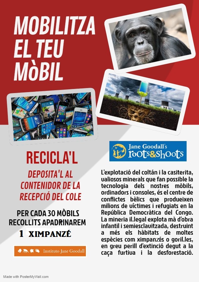 MOBILITZA EL TEU MÒBIL