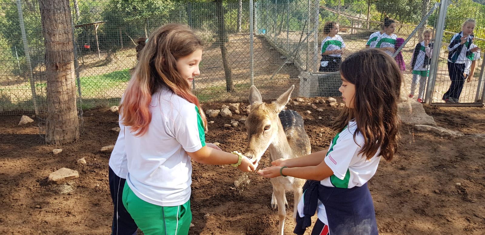 Centro de Acercamiento a la Naturaleza 4º