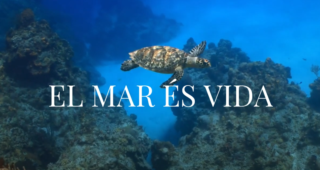 EL MAR ÉS VIDA